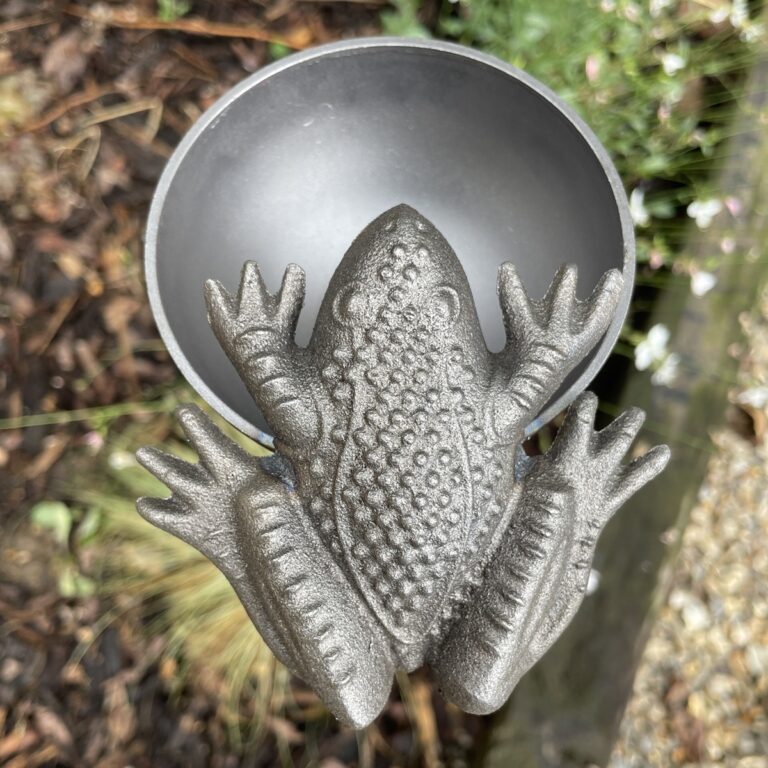 5061098722309 1 CUPPYFROG.JPG